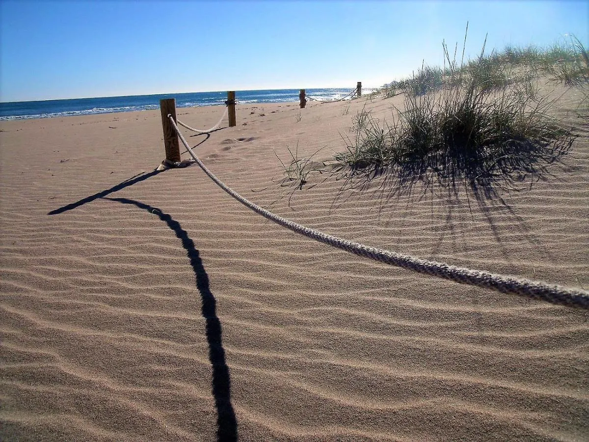 Trill Mirasol C Primera Linea Mar L'Estartit Spain